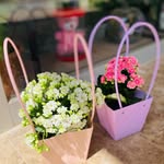 Vazo çiçeği Instagram öne çıkan görseli